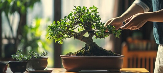 Bonsai Tree Care: A Moment of Tranquility