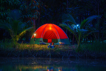 Red camping tent in a big forest at night, the ground is covered with brown fallen leaves and dry...