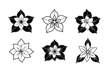 Obraz premium Jasminum sambac design, labeled silhouette, line art vector illustration. 