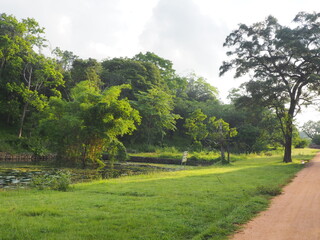 Obraz premium Sri Lanka, Sigiriya, Ancient Sri Lanka, Palace, Empire, Ancient city, 