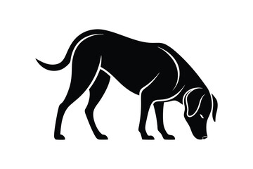silhouette of a Labrador Retriever sniffing the ground attentively.