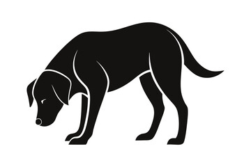 silhouette of a Labrador Retriever sniffing the ground attentively.