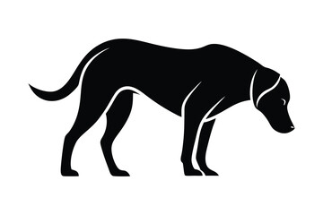 silhouette of a Labrador Retriever sniffing the ground attentively.