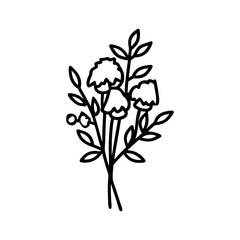 Vector daisy flowers bouquet, illustration daisy vase on white background, Botanical lines art flower, Minimalist contour drawing of flower. 