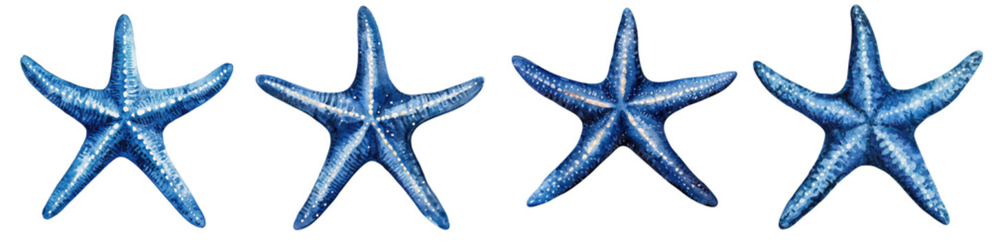 Vibrant blue starfish clipart in a watercolor marine style  This beautiful aquatic element can be used for coastal  oceanic  and underwater themed decor  design  patterns  and backgrounds