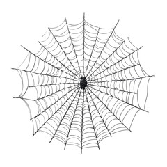 Fototapeta premium Intricate Spiderweb Design: A Halloween-Themed Graphic