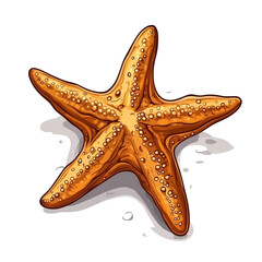 Golden Starfish on the Beach