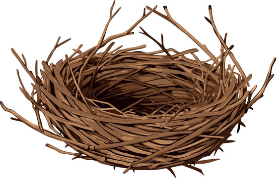 Empty bird nest waiting for eggs on white background