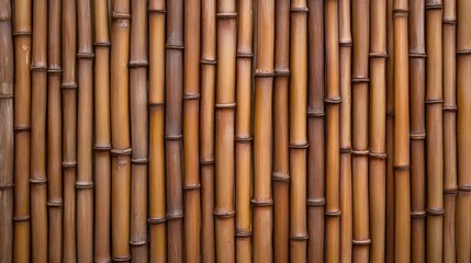 Fototapeta premium Close-up view of a wall made of bamboo canes, arranged vertically and horizontally