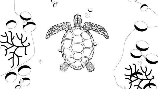 Animated video of a sea turtle swimming on the seabed in black and white, top view, art, animal, reptile.
