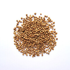 A top view of coriander seed isolated on white background
