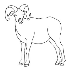 Vector line illustration of a ram in black and white