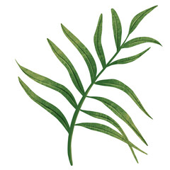 beautiful garden elements