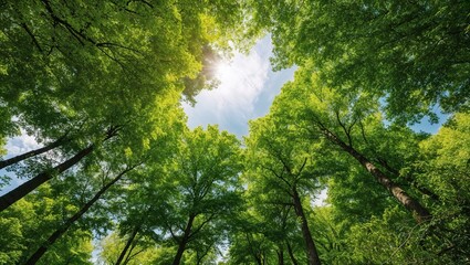 Obraz premium 緑豊かな木々を見上げるアングルで描く自然の癒しと美しさが特徴の写真。生成AI