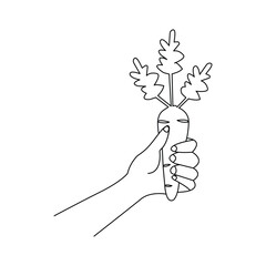 Continuous one-line drawing of carrot abstract outline vector art illustration
