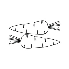 Continuous one-line drawing of carrot abstract outline vector art illustration
