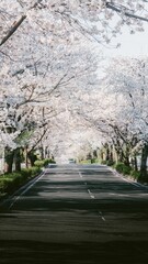 Cherry Blossom Road Tunnel