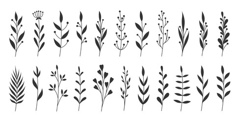 Botanical featuring hand drawn branches leaves floral elements. Variety shapes simple stems, elegant foliage, abstract florals. Creating wedding invitations, branding, patterns, posters, social media