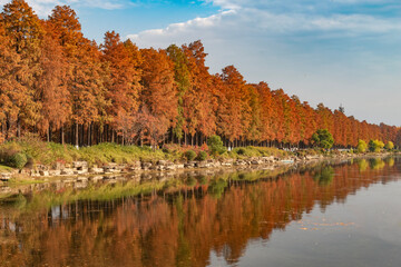 Serene Autumn Lake with Vibrant Reflections