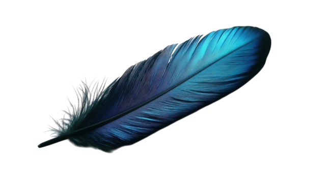 Captivating Black Feather with Iridescent Blue Sheen Set Against a White Background Perfect for Nature and Fashion Imagery.