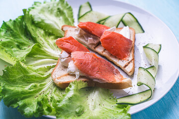 Sandwiches with cottage cheese and slices of salted trout on a white plate with cucumber and herbs