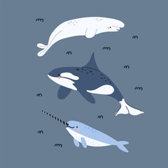 Arctic sea animals. Polar fish and mammal. Northern cute cold ocean inhabitants. Whale, orca, beluga. Underwater wildlife design. Card or print. Cartoon flat isolated north wildlife illustrations set