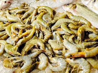 Raw shrimps and fishes, shrimps are a crustacean (a form of shellfish) with an elongated body and a primarily swimming mode of locomotion, Caridea or Dendrobranchiata of decapod order
