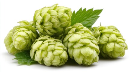 Fototapeta premium A cluster of fresh green hop cones with leaves, often used in brewing beer.