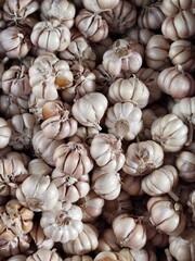 Fototapeta premium close up of garlic