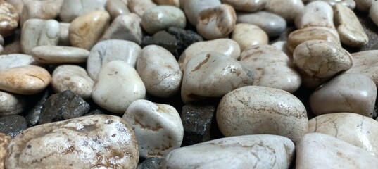 White pebles coral in wet