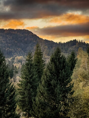 The landscape of Carpathian Mountains in the sunny weather. Perfect weather condition in the autumn season