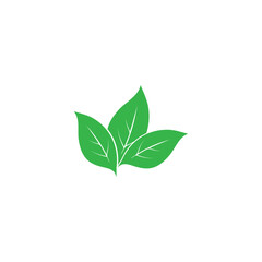 Leaf logo vector icon design template