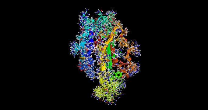 Bungatoxin, Bungarus candidus (Malayan Krait) toxin, NMR structure, 3D molecule 4k