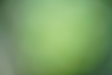 Weicher Verlauf aus floraler Farbe