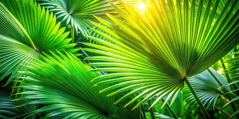 Obraz premium Lush palm leaves bathed in sunlight, a vibrant green tropical paradise.