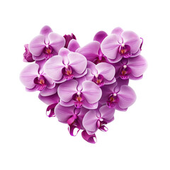 purple orchids in a heart shaped outline on a pure white isolated background