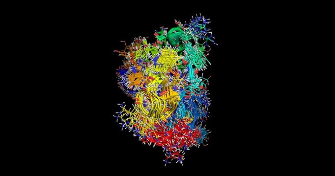 Anti-mammal toxin III, scorpion Leiurus quinquestriatus, 3D molecule spinning 4k