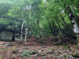 Parque Natural de Ordesa - Pirineos 2024 - 45