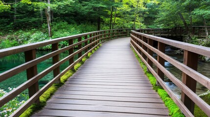 Serene wooden walkway through lush green forest