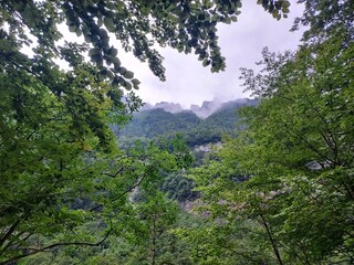 Parque Natural de Ordesa - Pirineos 2024 - 35