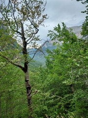 Parque Natural de Ordesa - Pirineos 2024 - 33