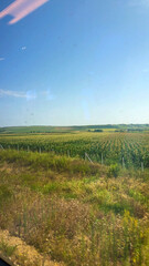 Landscape with fields