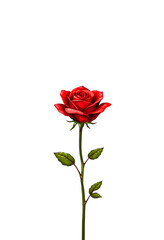 Fototapeta premium A red rose is the main focus of the image, standing tall and proud on a white background. The rose is the center of attention, drawing the viewer's eye and evoking feelings of love, beauty, hand-dra