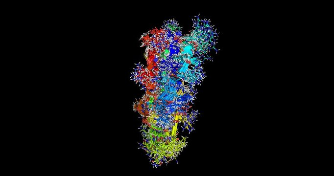 Bungatoxin, Bungarus candidus (Malayan Krait) toxin, NMR structure, 3D molecule spinning 4k