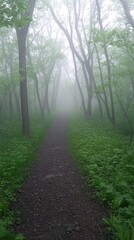 Fototapeta premium Misty spring forest, soft green foliage, light morning fog, calm natural stillness, peaceful woodland path, cinematic minimalism, fresh seasonal air, subtle tonal balance, scenic depth