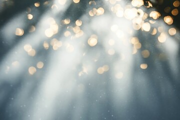 Dappled Sunlight Shadows of Tropical Leaves on White Wall Background