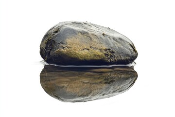 Obraz premium single pebble png simple