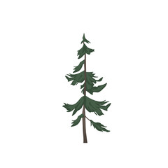christmas tree isolated