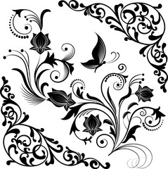 Ornament in black on a white background.Illustration with floral ornaments in black and a frame on a white background.