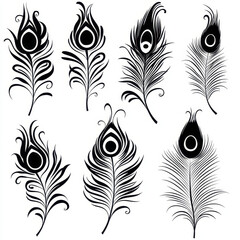 Elegant black and white peacock feather patterns with intricate designs
